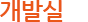 개발부분
